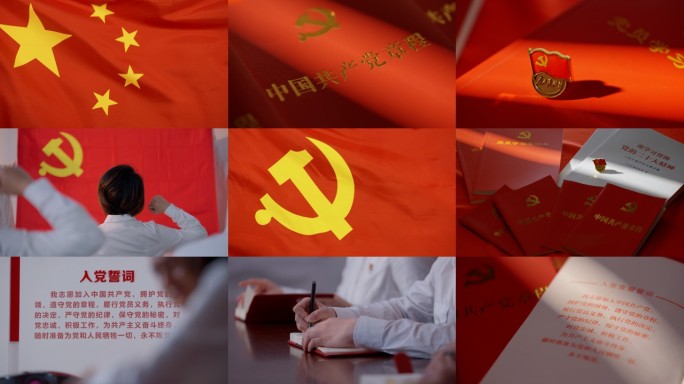 党建宣誓党员学习党政党旗