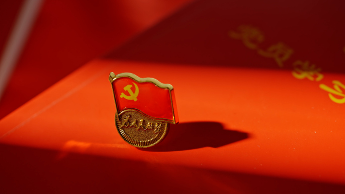 党建宣誓党员学习党政党旗