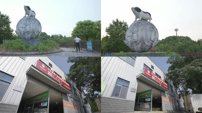 25 宁乡花猪产业发展中心