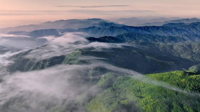 4K 航拍雷公山森林自然风光