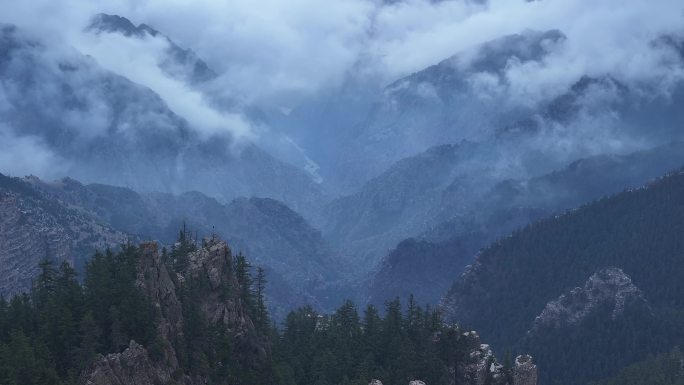 贺兰山 云雾缭绕 森林 云雾 山中云海