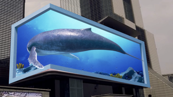 写实海底鲸鱼裸眼3D素材