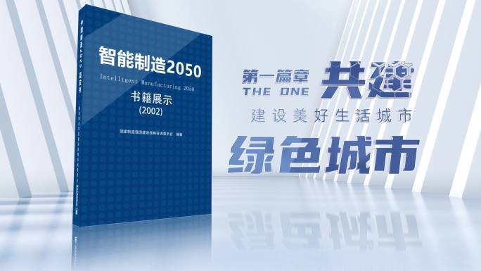 蓝皮书ae