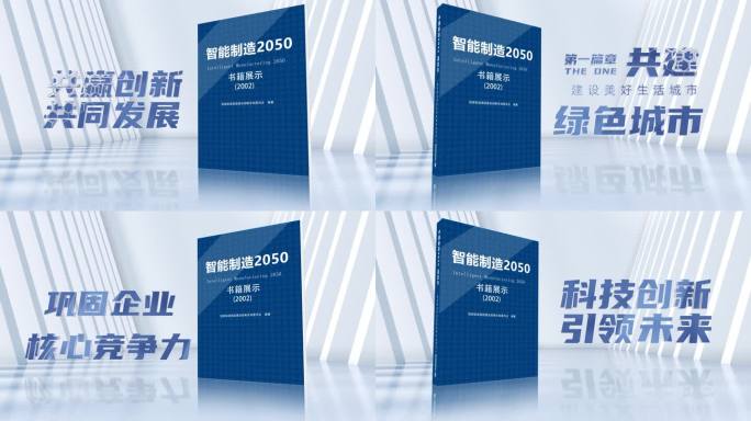 蓝皮书ae