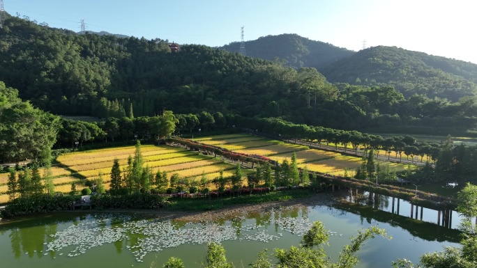 秋天的云浮市南山公园