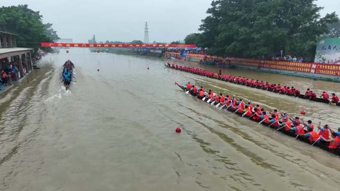江门新会大泽龙舟赛