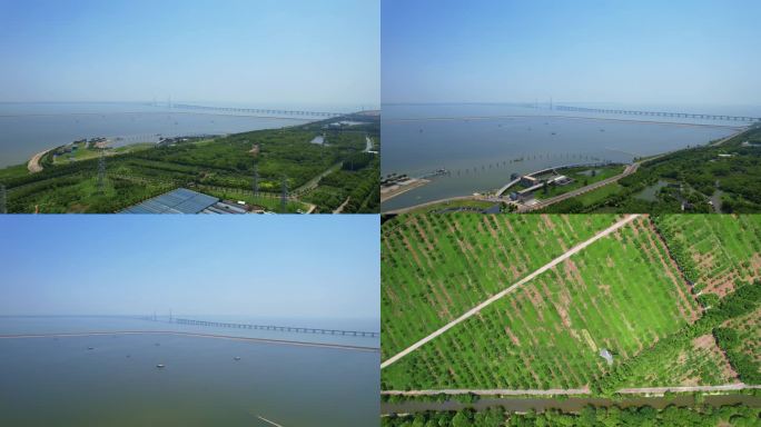 长兴岛青草沙水库上海水源地航拍
