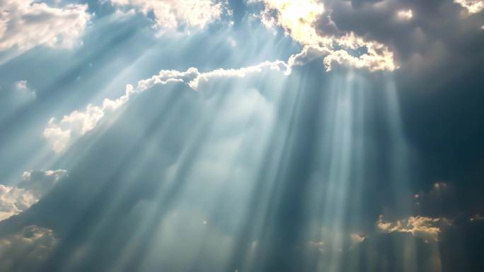 森林光影下的丁达尔效应自然美景