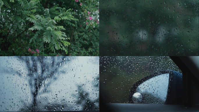 窗户下雨雨天户外车窗雨季清明端午植物雨声