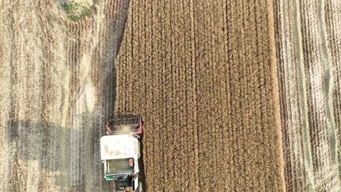收麦子航拍 农村 农业素材丰收收割机劳作