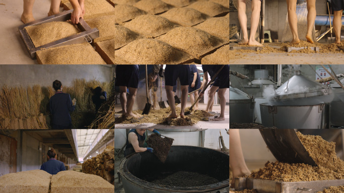 酱酒制曲踩曲曲块人工踩曲茅台镇仁怀酒曲