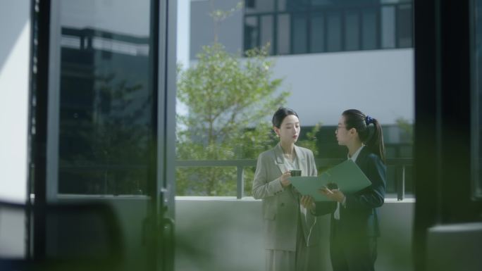 精英办公室阳台交流工作商务交流