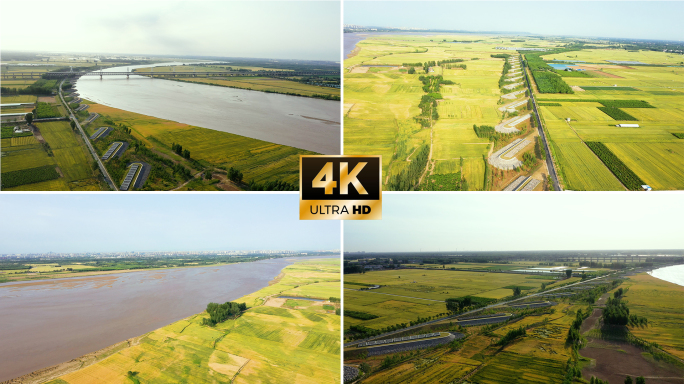 黄河两岸小麦成熟航拍