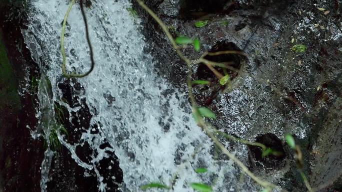 自然 流水 水 苔藓 小溪 山泉 瀑布