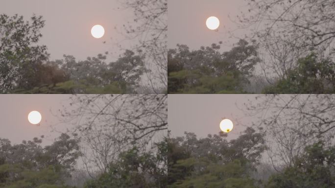 西双版纳日落延时