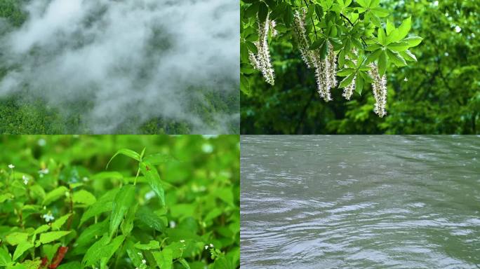 【可商用】下雨森林河水云雾雨滴唯美空境
