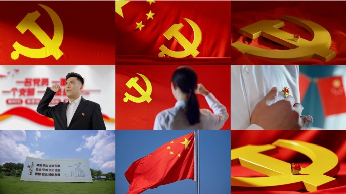 党建党旗党徽宣誓红旗党政党章党中国梦