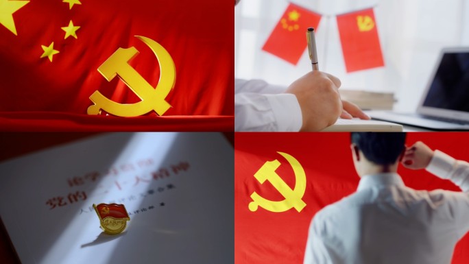 党建党旗党徽宣誓红旗党政党章党中国梦