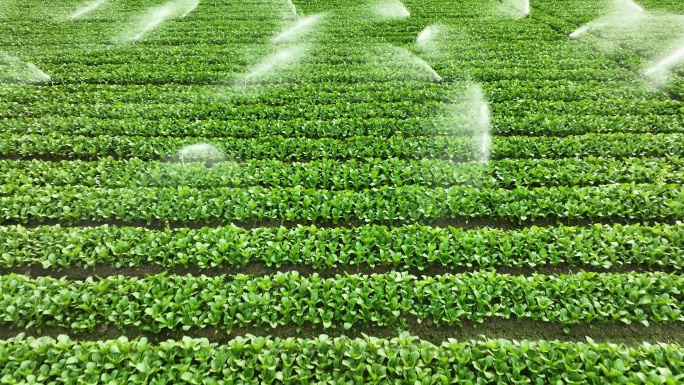 草地农业灌溉系统新农村乡村振兴机械化作业