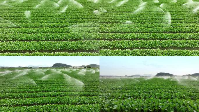 草地农业灌溉系统新农村乡村振兴机械化作业