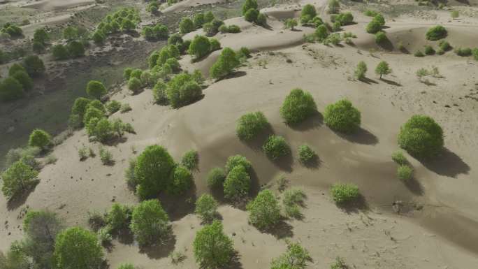 4K航拍木格滩沙漠原生态沙漠绿洲