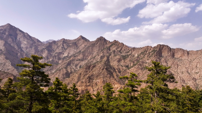 宁夏贺兰山国家森林公园