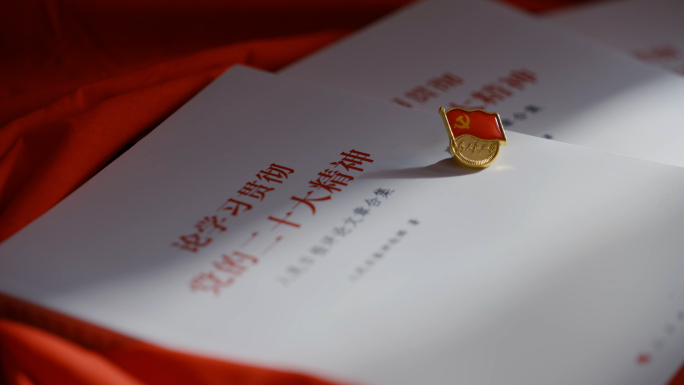 超大合集 党建 入党宣誓 党员学习