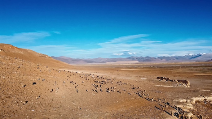 西藏珠峰古堡珠穆朗玛峰航拍4K