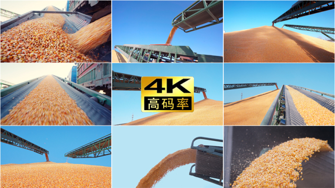 粮库运输传送带装玉米