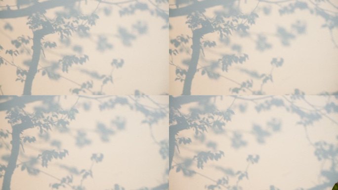 树墙影子树影投影
