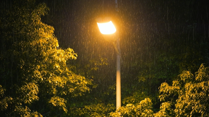 下雨天夜晚 路灯大雨 雨水
