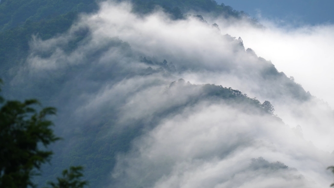 高山云雾翻滚大自然天然氧吧