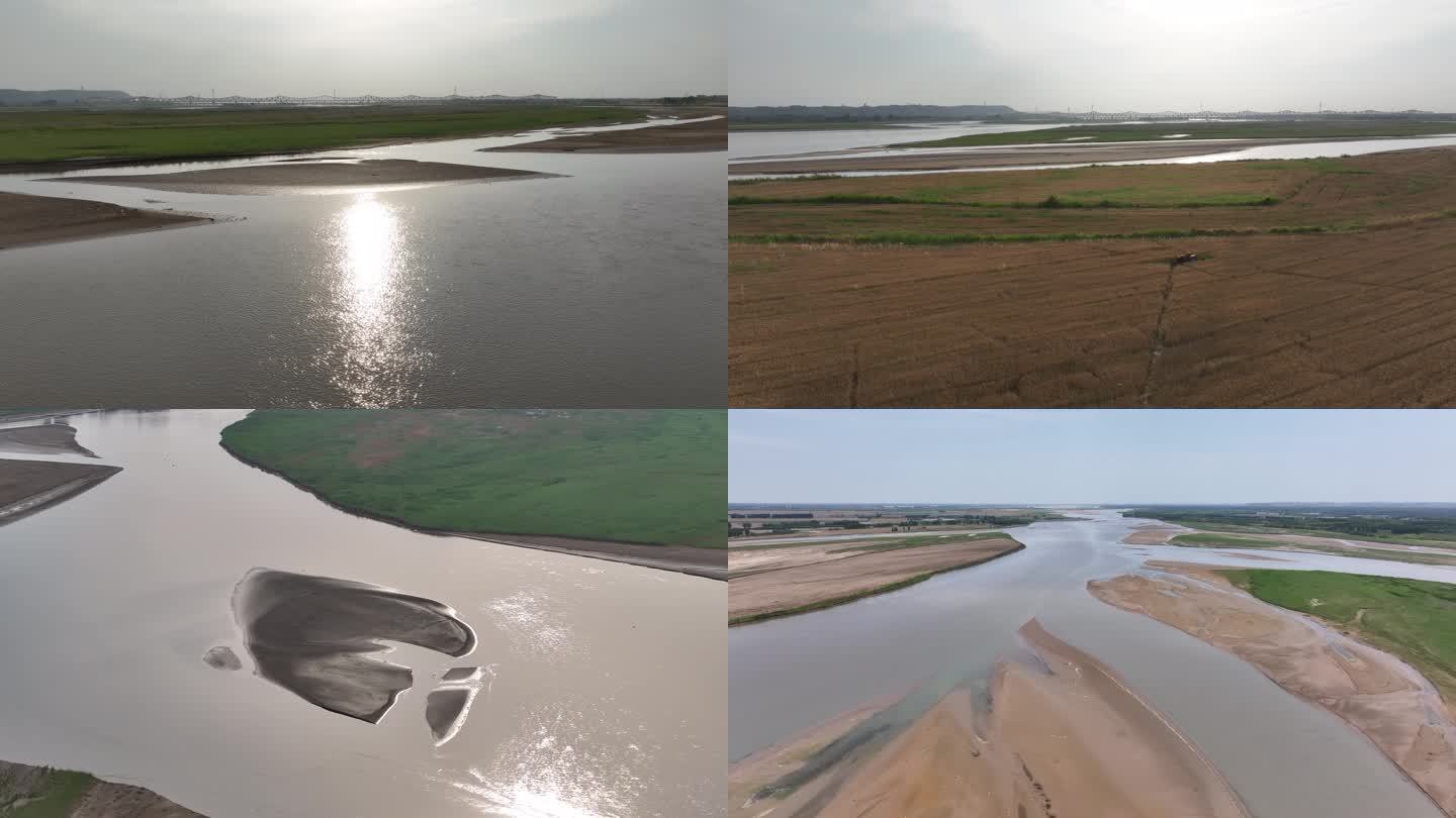 黄河滩黄河麦地