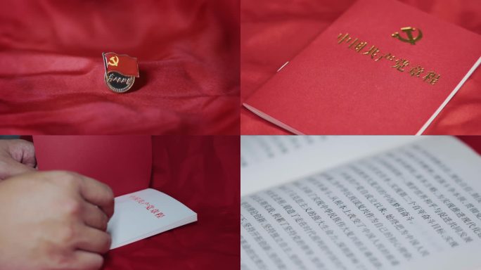 建党103周年 党政党徽党章片头