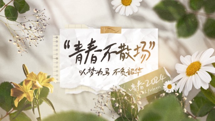 唯美光影相册