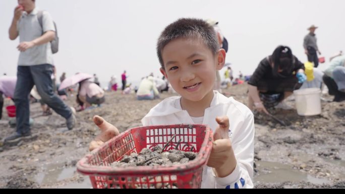 赶海挖蛤蜊丰收 小孩赶海
