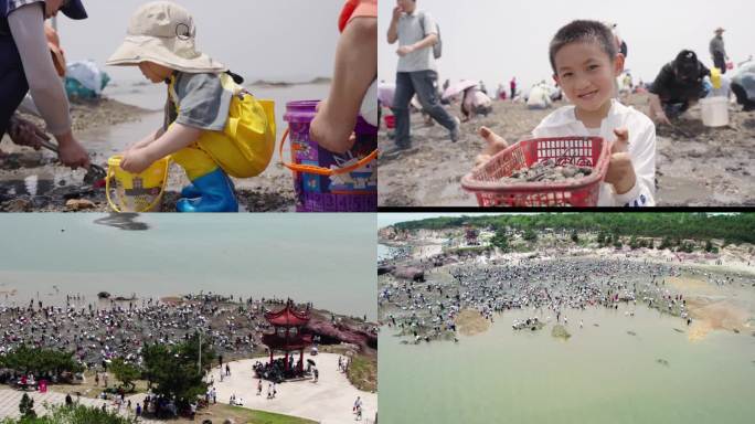 赶海挖蛤蜊丰收 小孩赶海