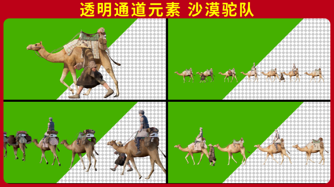 骆驼驼队沙漠丝绸之路 透明通道抠像元素