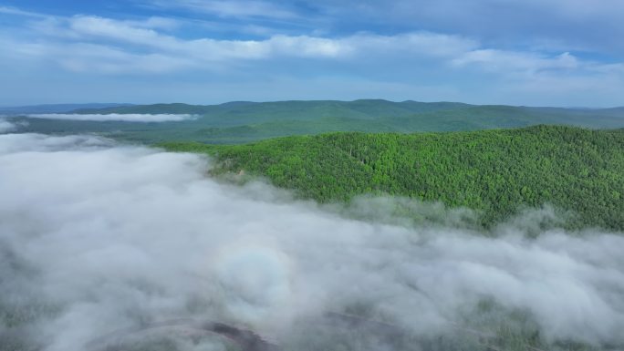 俯拍森林云雾湿地20240612 (8)