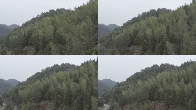 山区 道路 深山 植被茂密 叙事 片头