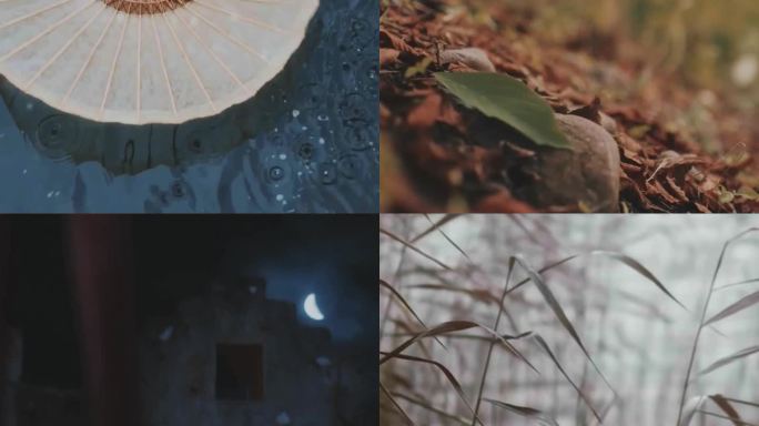 古风、油纸伞、落叶、水滴、屋檐、影视混剪