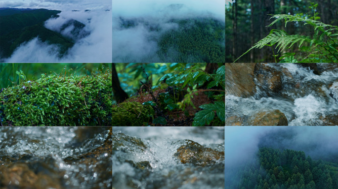 4K雨天森林大自然流水风景树林山水自然山
