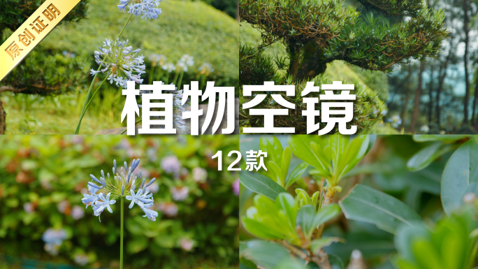 植物空镜