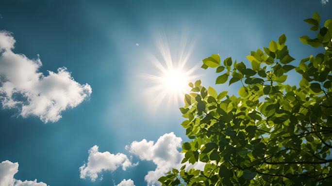 【20组镜】夏天炎热高温天气