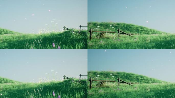 夏天的草原 背景视频
