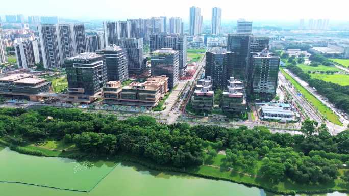 白云湖 白云湖科技城