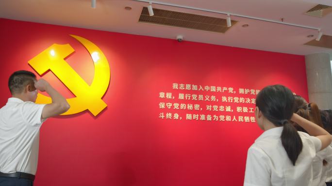 党员庄严宣誓入党集体宣誓「组镜」