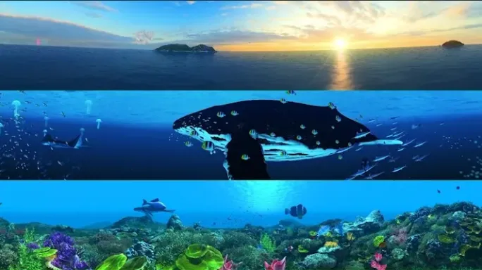 三维海底全景镜头