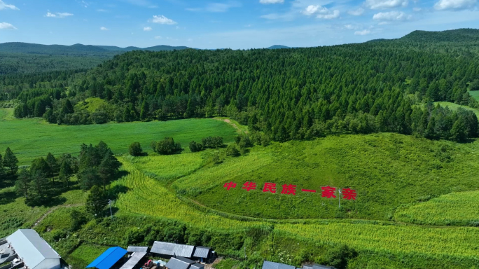 蓝天绿地森林中华民族一家亲鄂伦春族乡