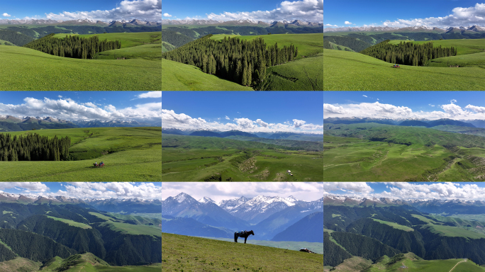 新疆伊犁喀拉峻草原风光合集4K60P